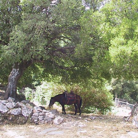 Hotel Agnanti Agios Konstantinos  ภายนอก รูปภาพ