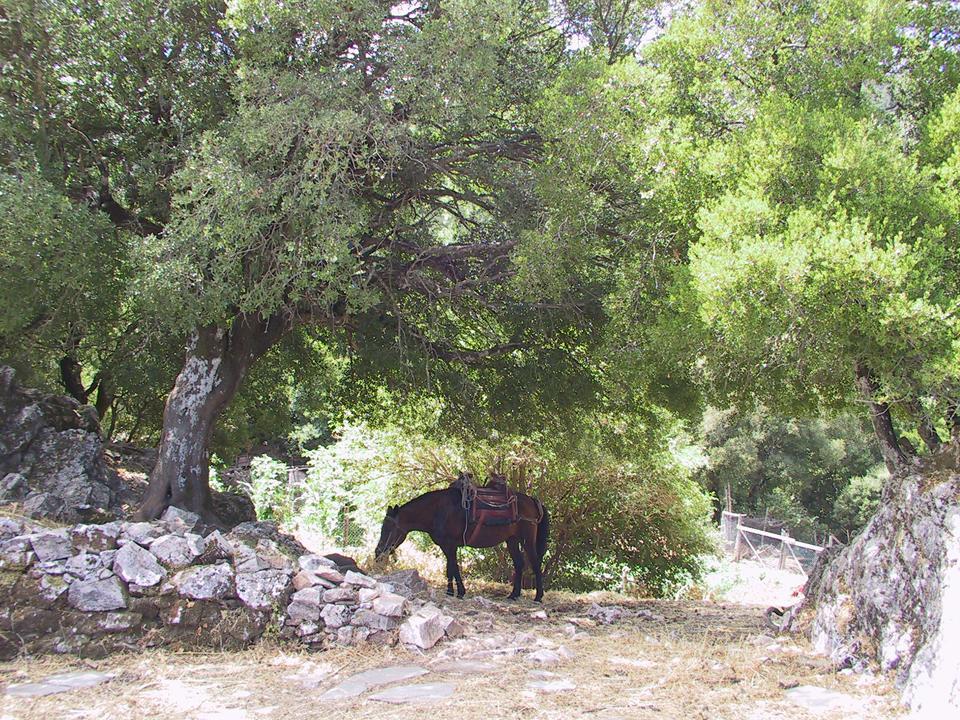 Hotel Agnanti Agios Konstantinos  ภายนอก รูปภาพ